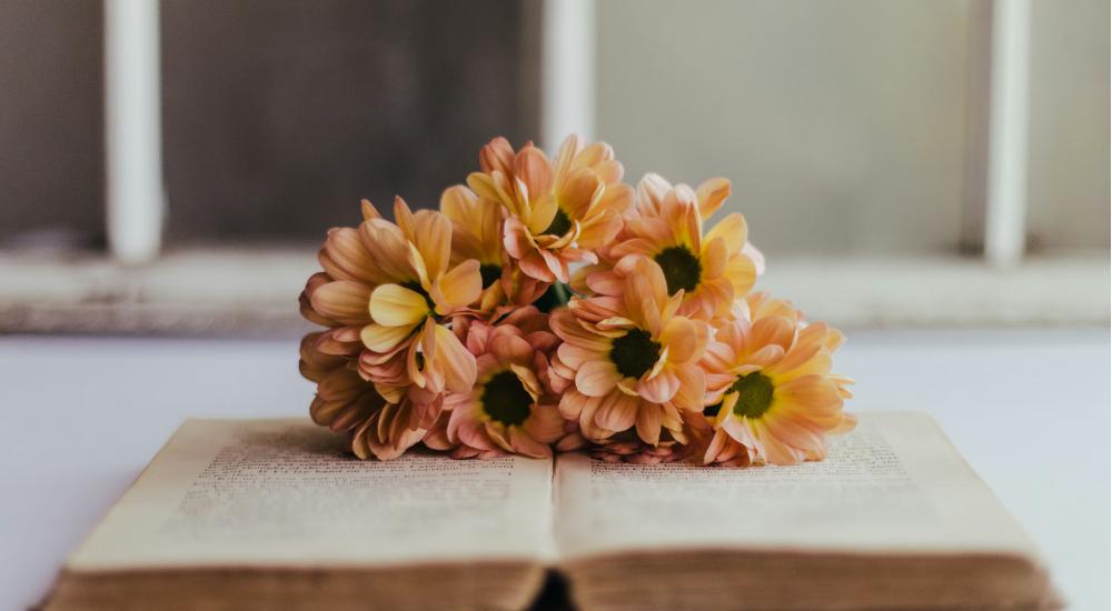 Día del libro ¿Por qué se regalan tradición de regalar libros y flores?