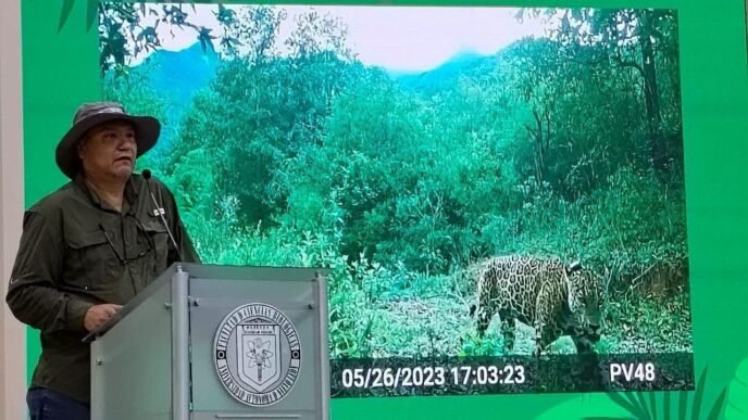 Conservación del jaguar en Nuevo León: Cuidan senderos vitales